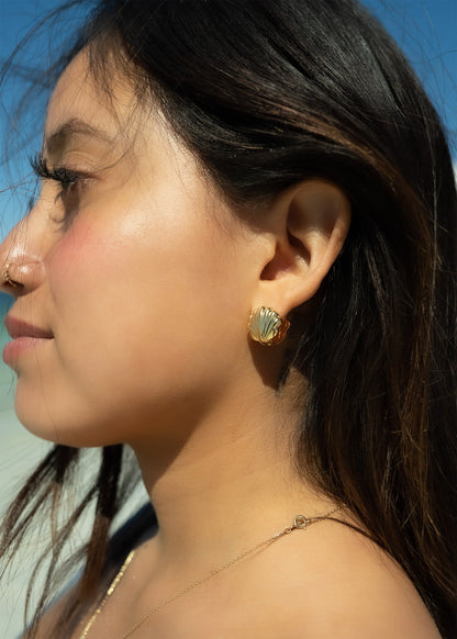 18K Gold PVD Stainless Steel Shell Huggies Earrings / ERJ0066