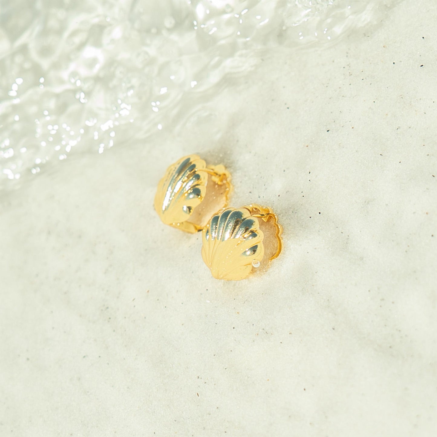 18K Gold PVD Stainless Steel Shell Huggies Earrings / ERJ0066