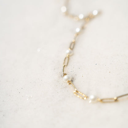 18K Gold PVD Stainless Steel Pearl Station Paperclip Chain Necklace / CHN0082