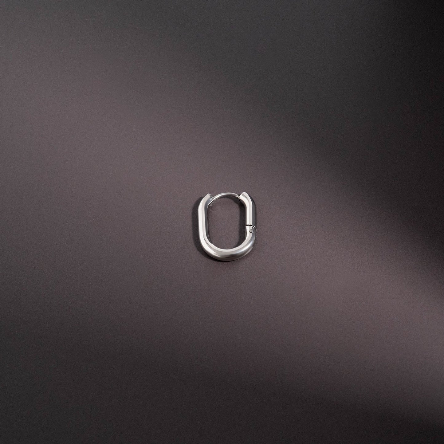 18K Gold PVD Stainless Steel Oval Huggie Earrings / ERJ0039