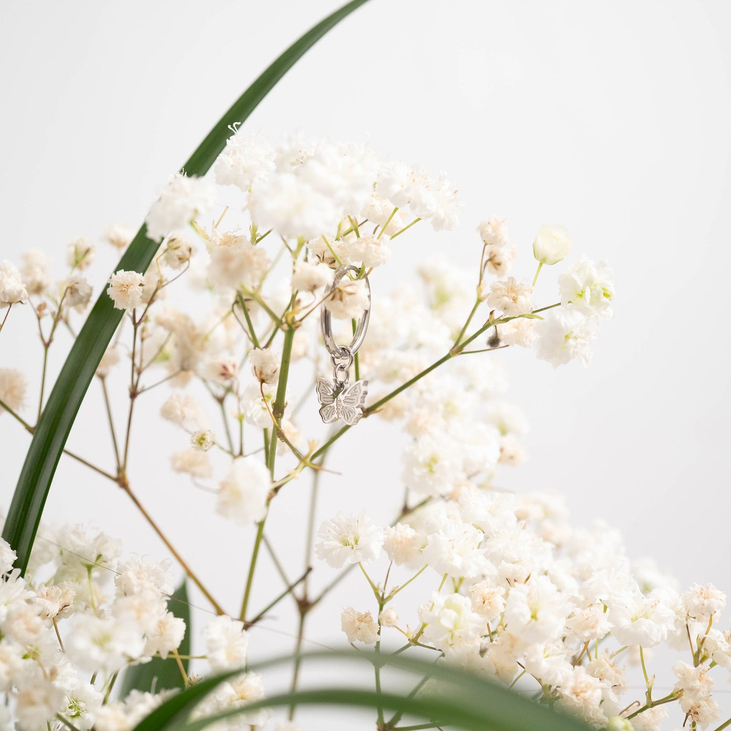 18K Gold PVD Stainless Steel Butterfly Huggie Earrings / ERJ0050