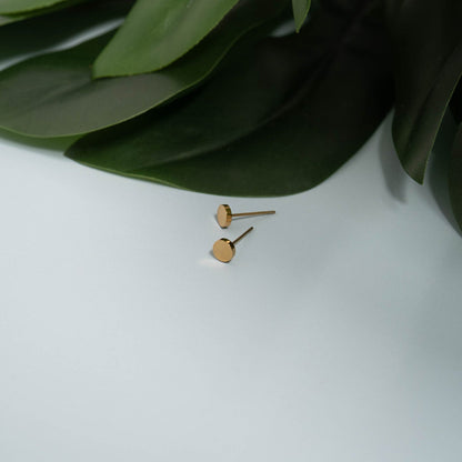 18K Gold PVD Stainless Steel Round Stud Earrings / ERJ0054