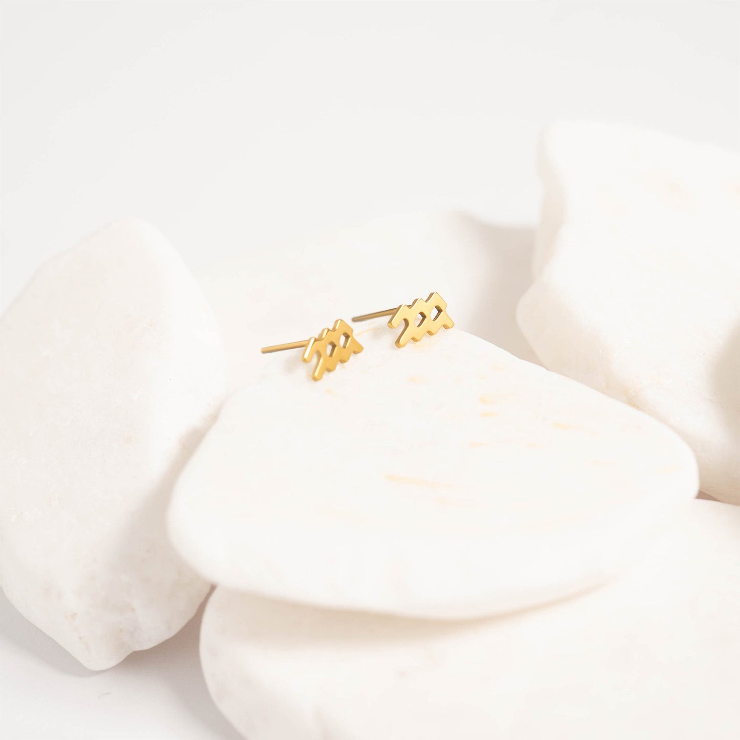 18K Gold PVD Stainless Steel Zodiac Stud Earrings / ERJ0059