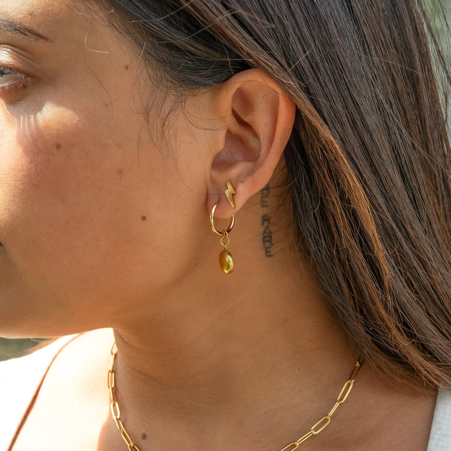 18K Gold PVD Stainless Steel Circle Coin Pendant Earrings / ERJ0049