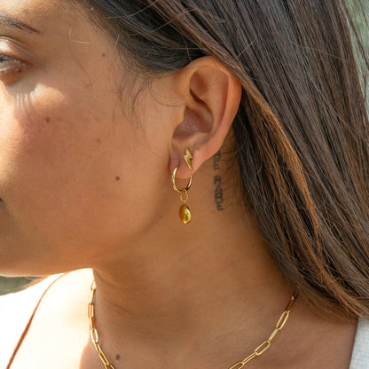 18K Gold PVD Stainless Steel Circle Coin Pendant Earrings / ERJ0049