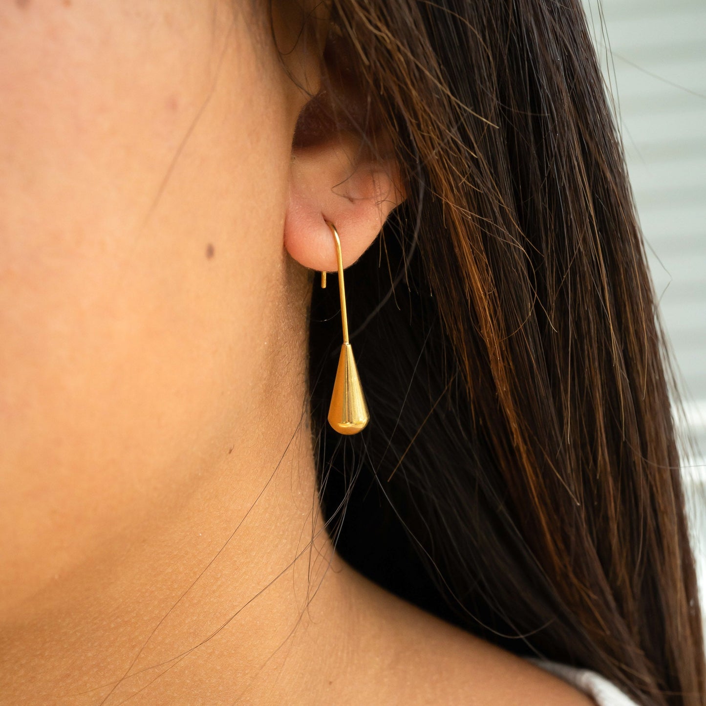 18K Gold PVD Stainless Steel Drop Earrings / ERJ0064