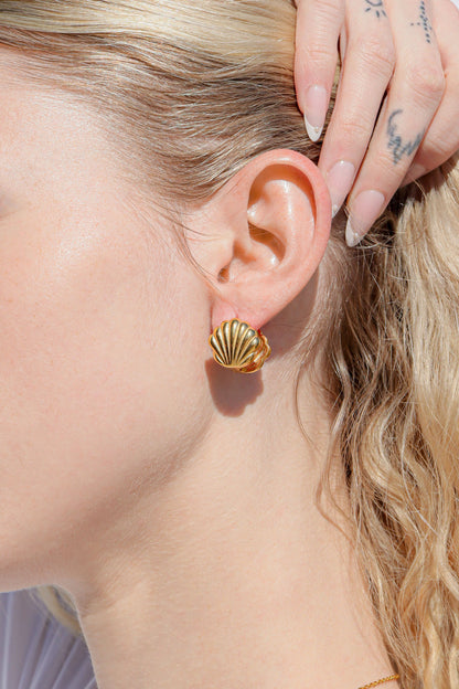 18K Gold PVD Stainless Steel Shell Huggies Earrings / ERJ0066