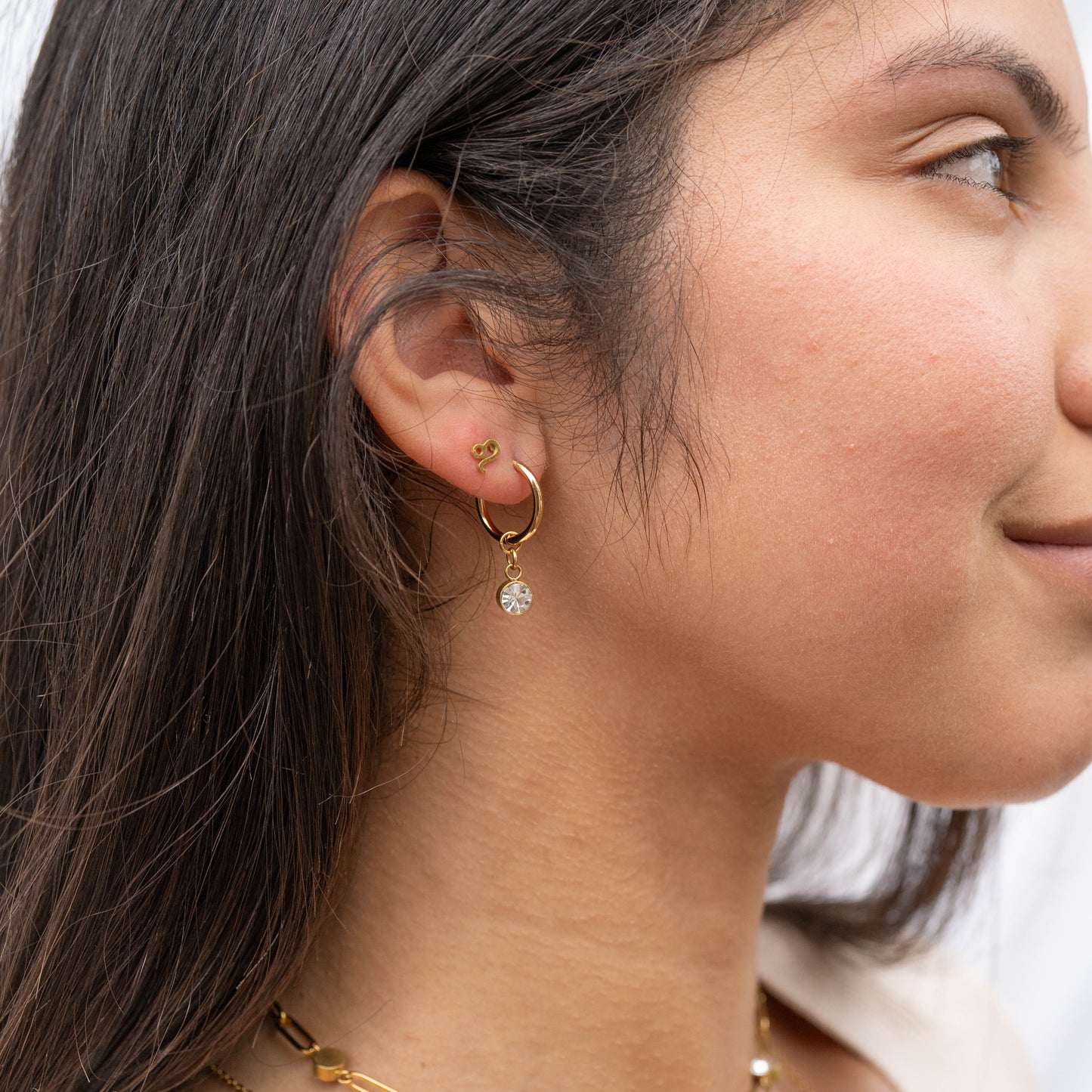 18K Gold PVD Stainless Steel Zodiac Stud Earrings / ERJ0059