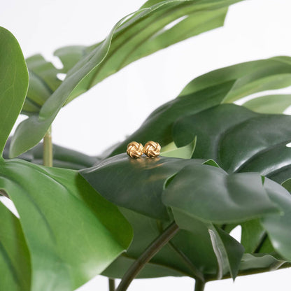 18K Gold PVD Stainless Steel Knot Stud Earrings / ERJ0077