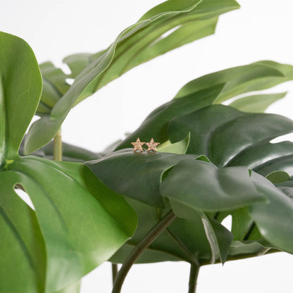 18K Gold PVD Stainless Steel Star Stud Pave Stone Earrings / ERJ0080