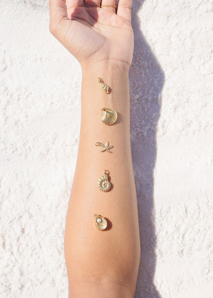 18K Gold PVD Stainless Steel Shell Charm / PDL0192