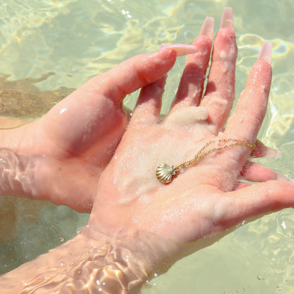 18K Gold PVD Stainless Steel Clam Shell Charm / PDL0097