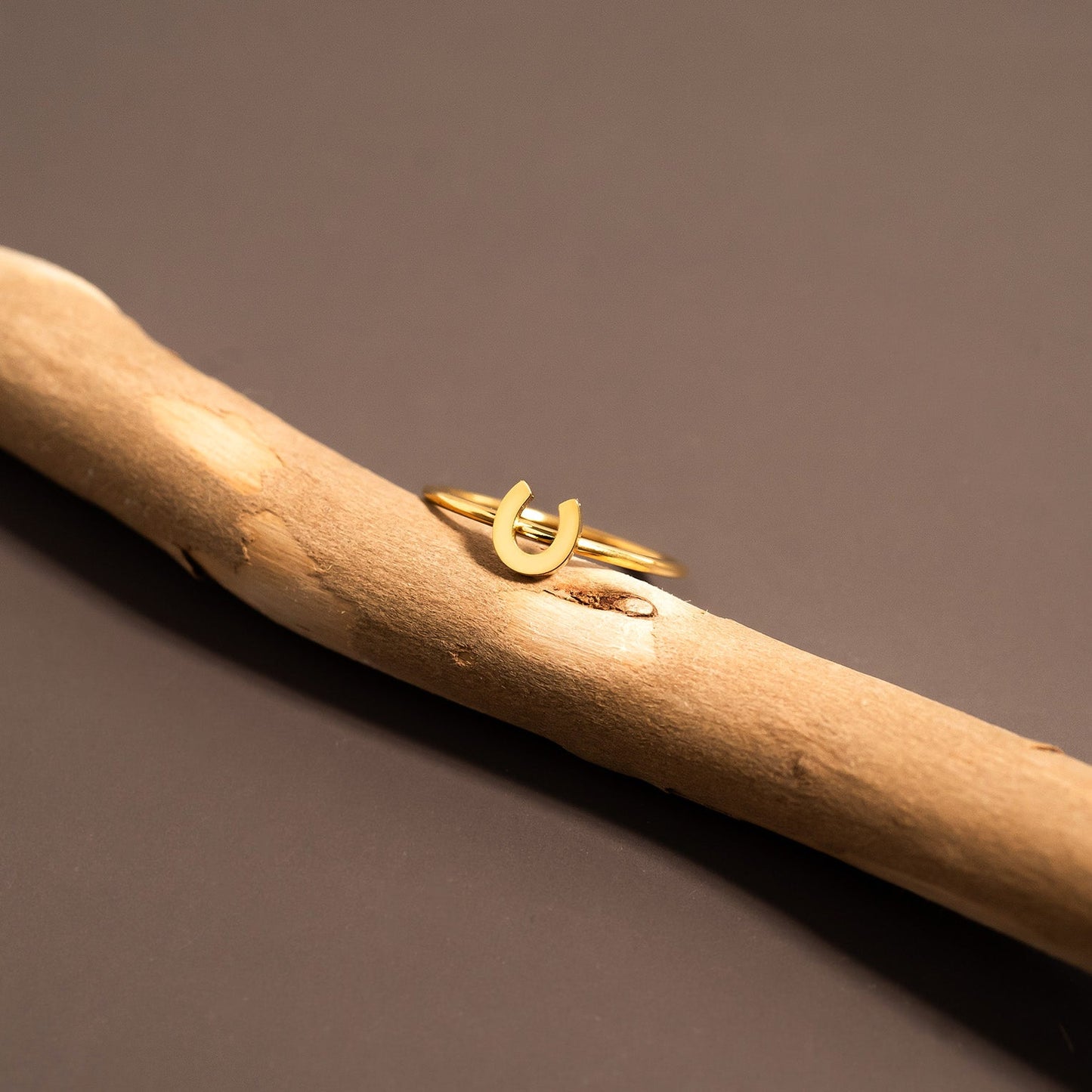 18K Gold PVD Stainless Steel Horseshoe Symbol Ring / ZRJ0001